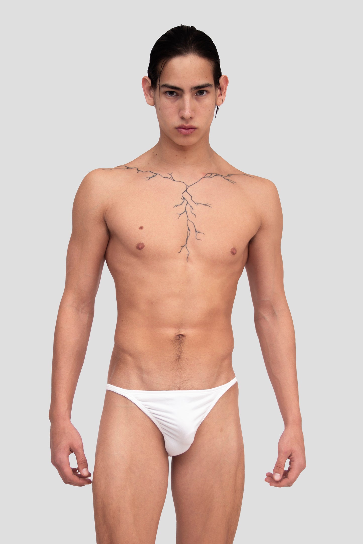 MUSCLE BRIEF